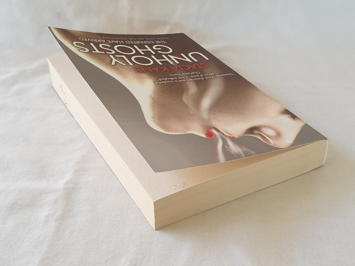 Unholy Ghosts by Stacia Kane