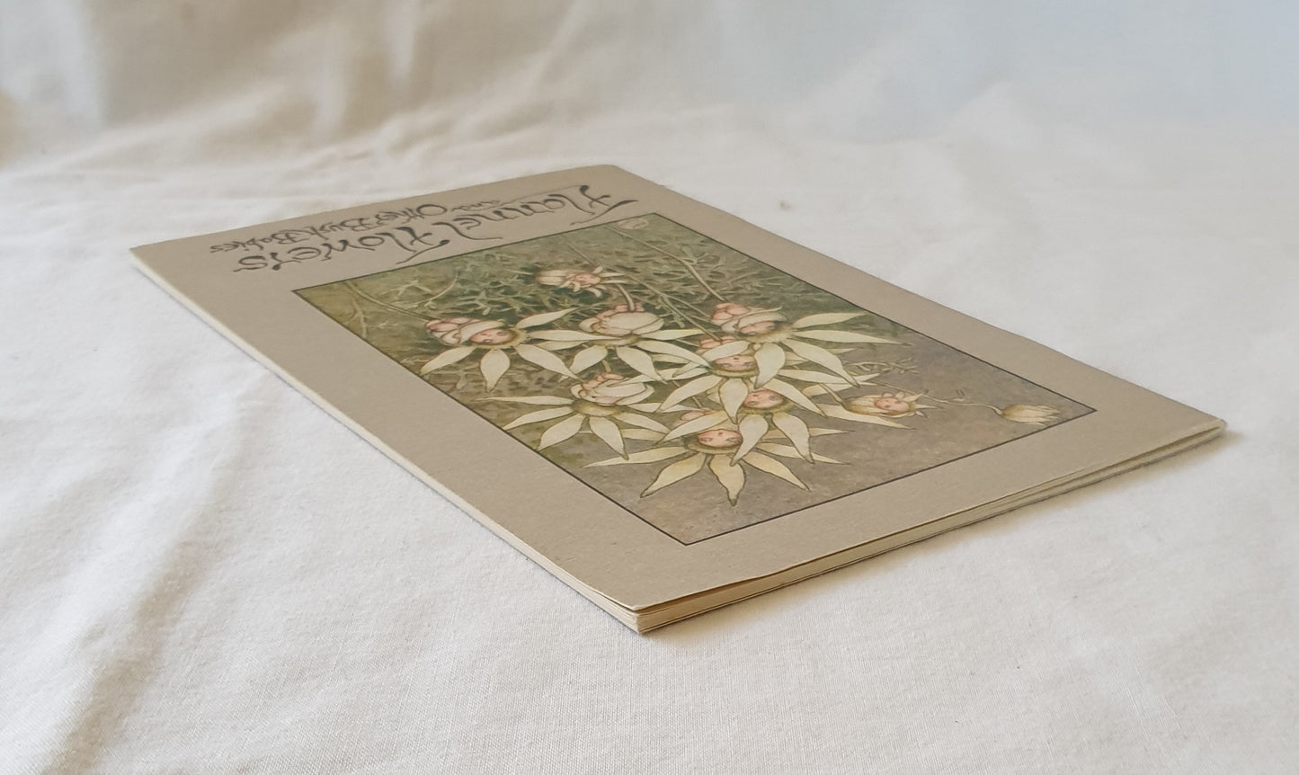 Flannel Flowers and Other Bush Babies by May Gibbs