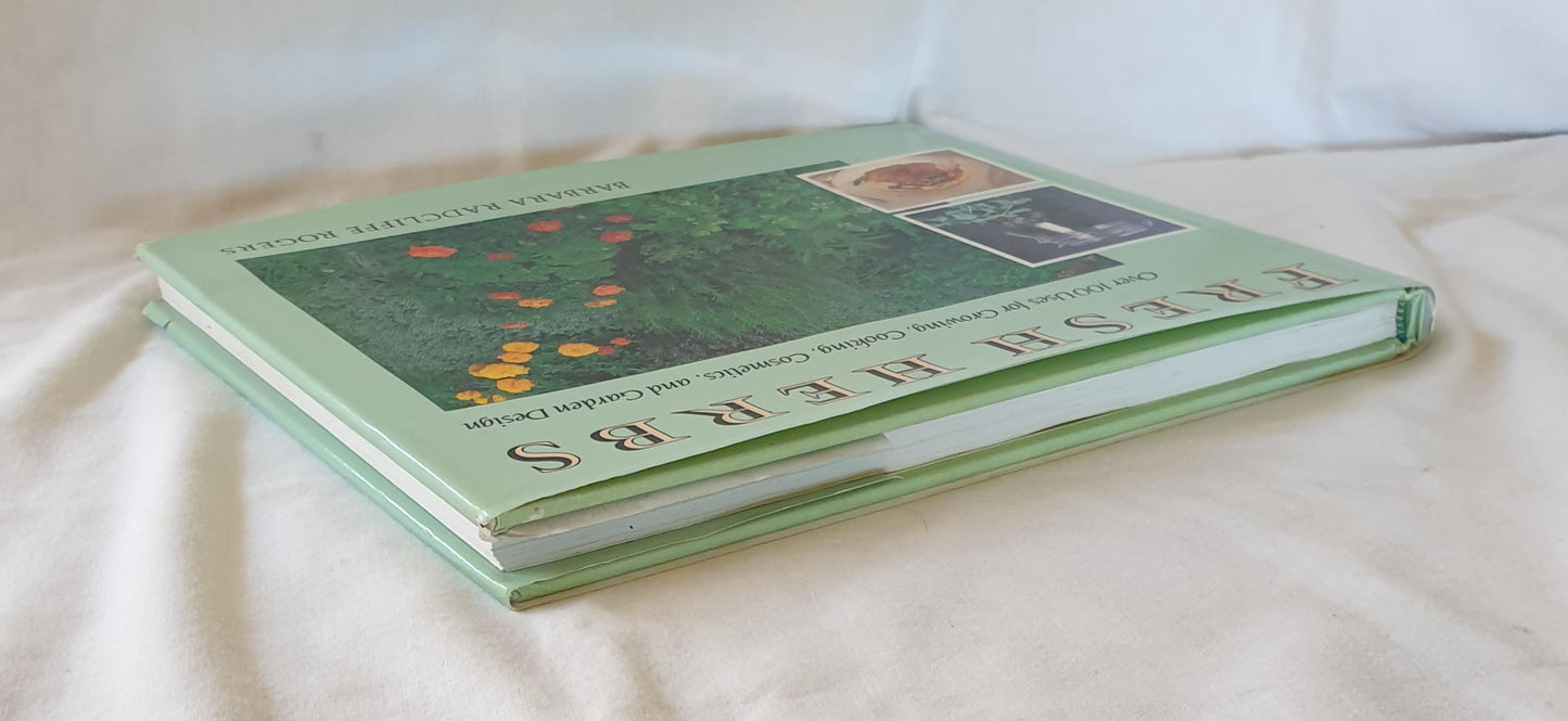Fresh Herbs by Barbara Radcliffe Rogers