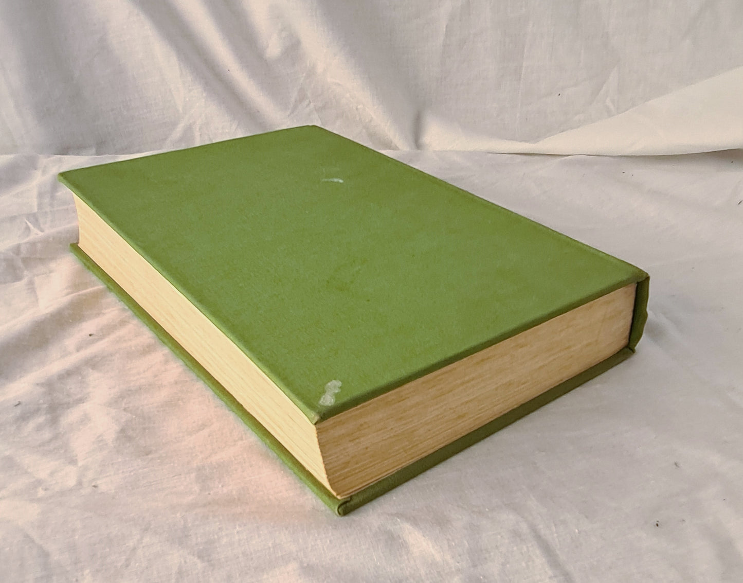 What Bird is That? by Neville W. Cayley