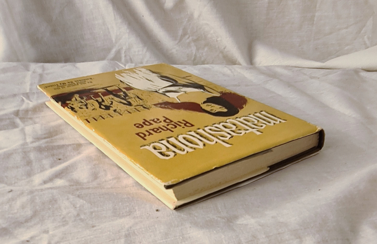 Matashona by Richard Pape