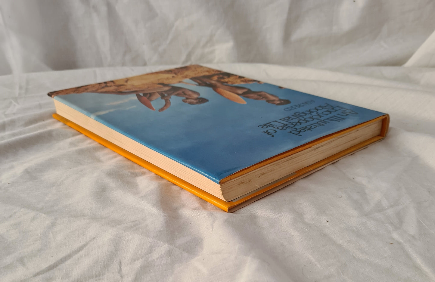 An Illustrated Encyclopedia of Aboriginal Life by A. W. Reed