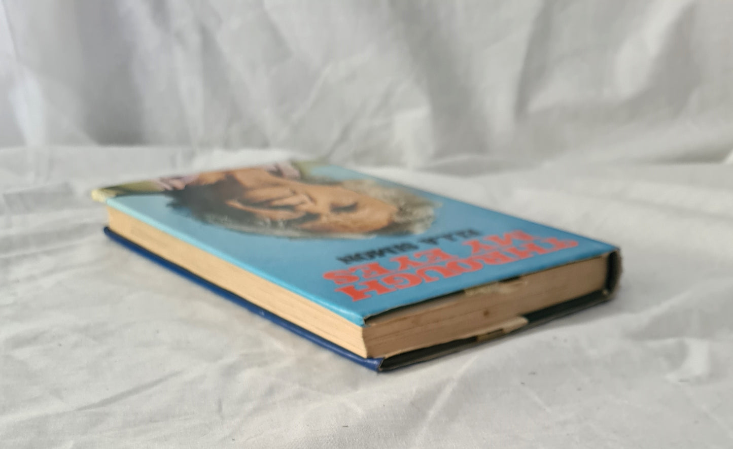 Through My Eyes by Ella Simon