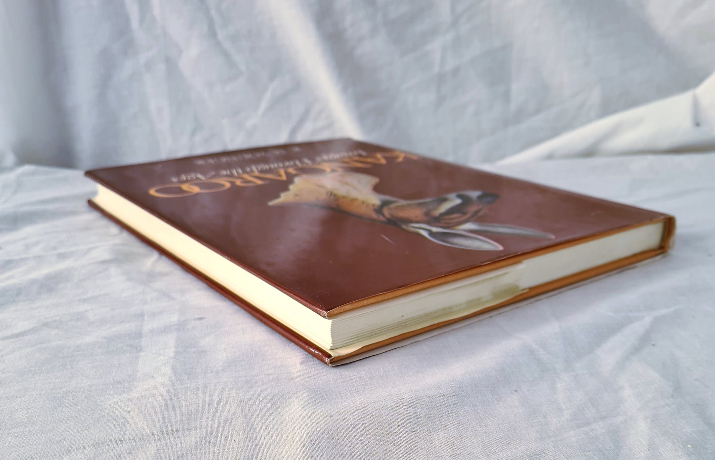 Kangaroo by R. M. Younger