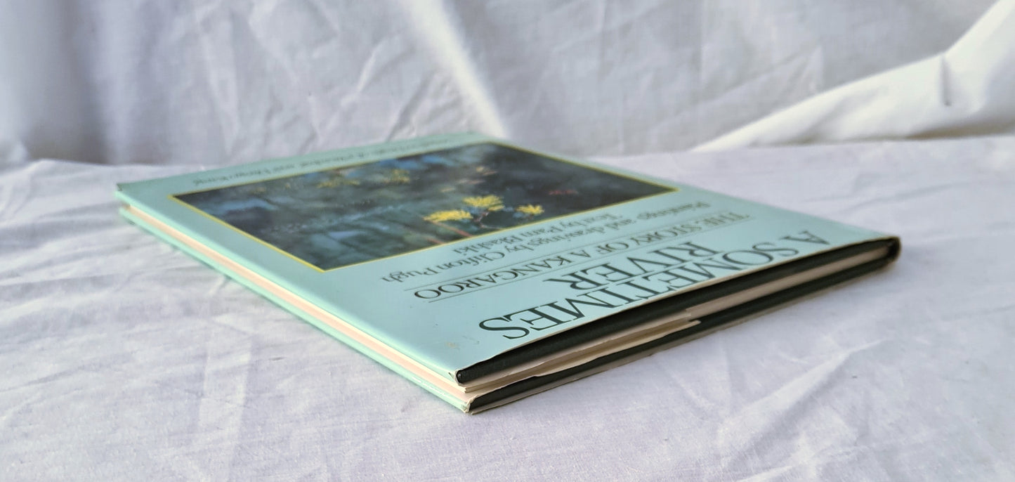 A Sometimes River by Pam Blashki