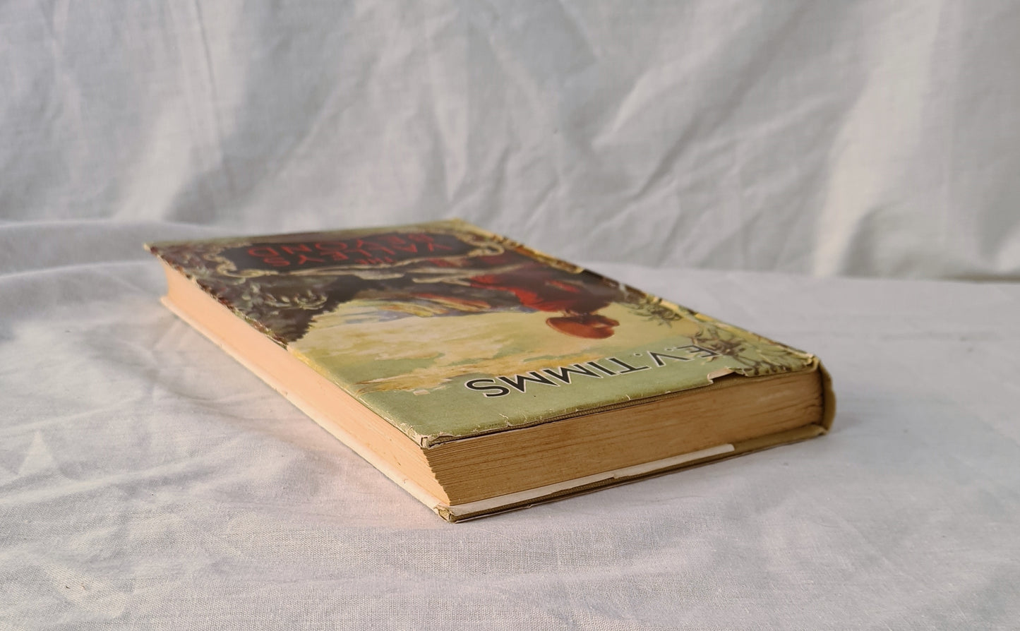 The Valleys Beyond by E. V. Timms