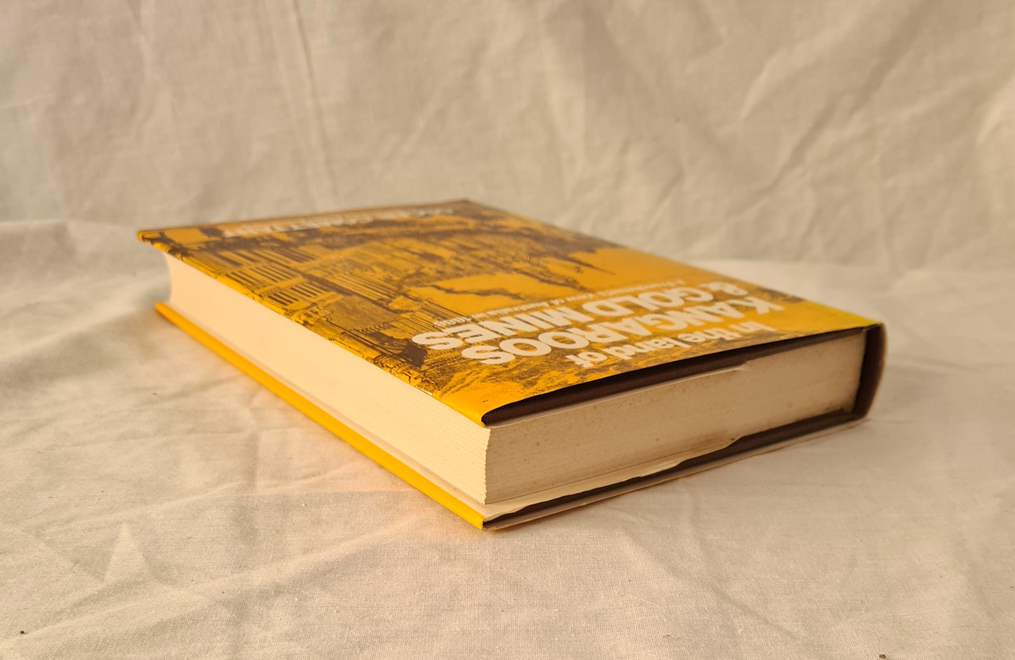 In The land of Kangaroos and Gold Mines by Oscar Comettant