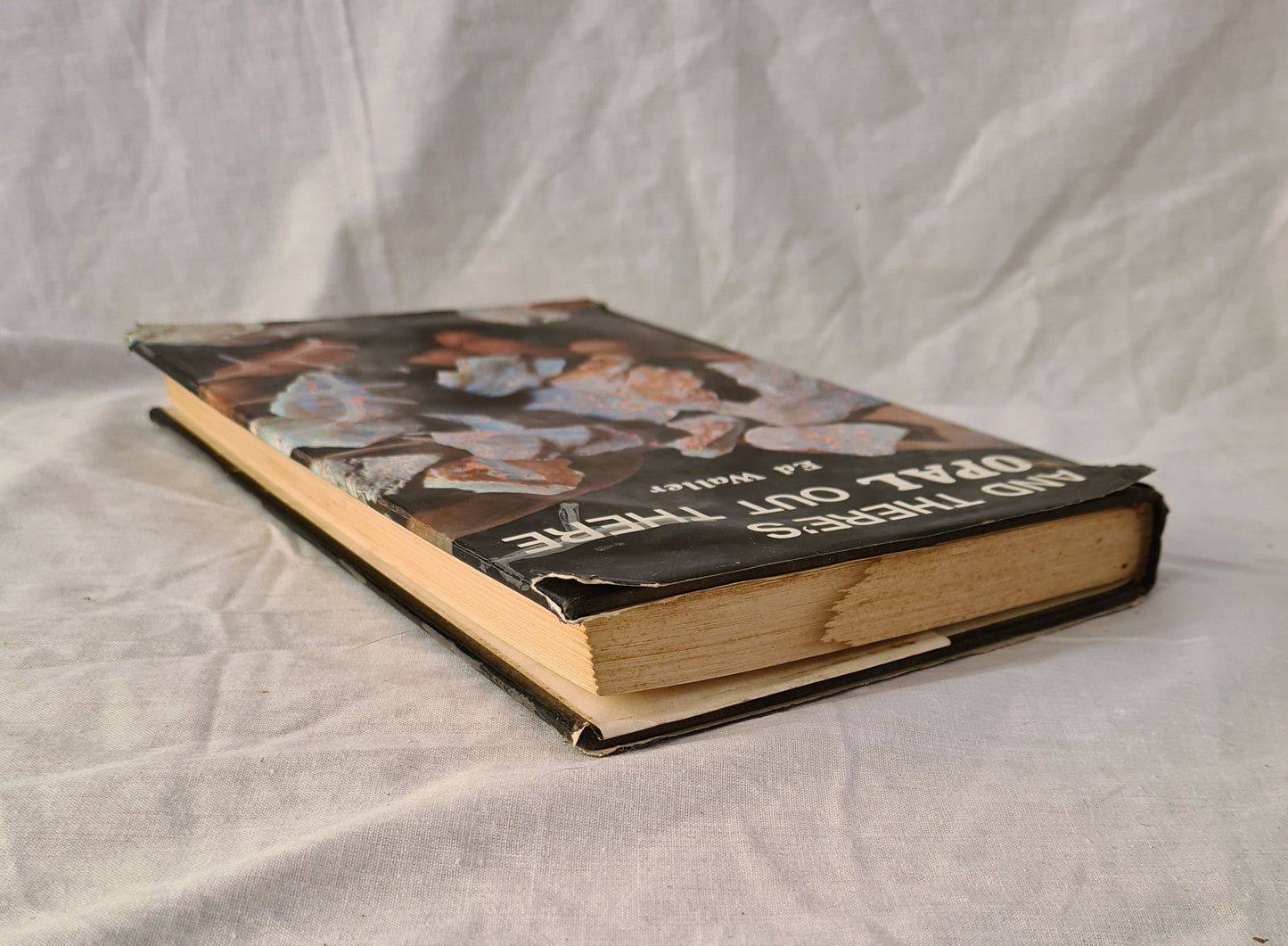 And There’s Opal Out There by Ed Waller