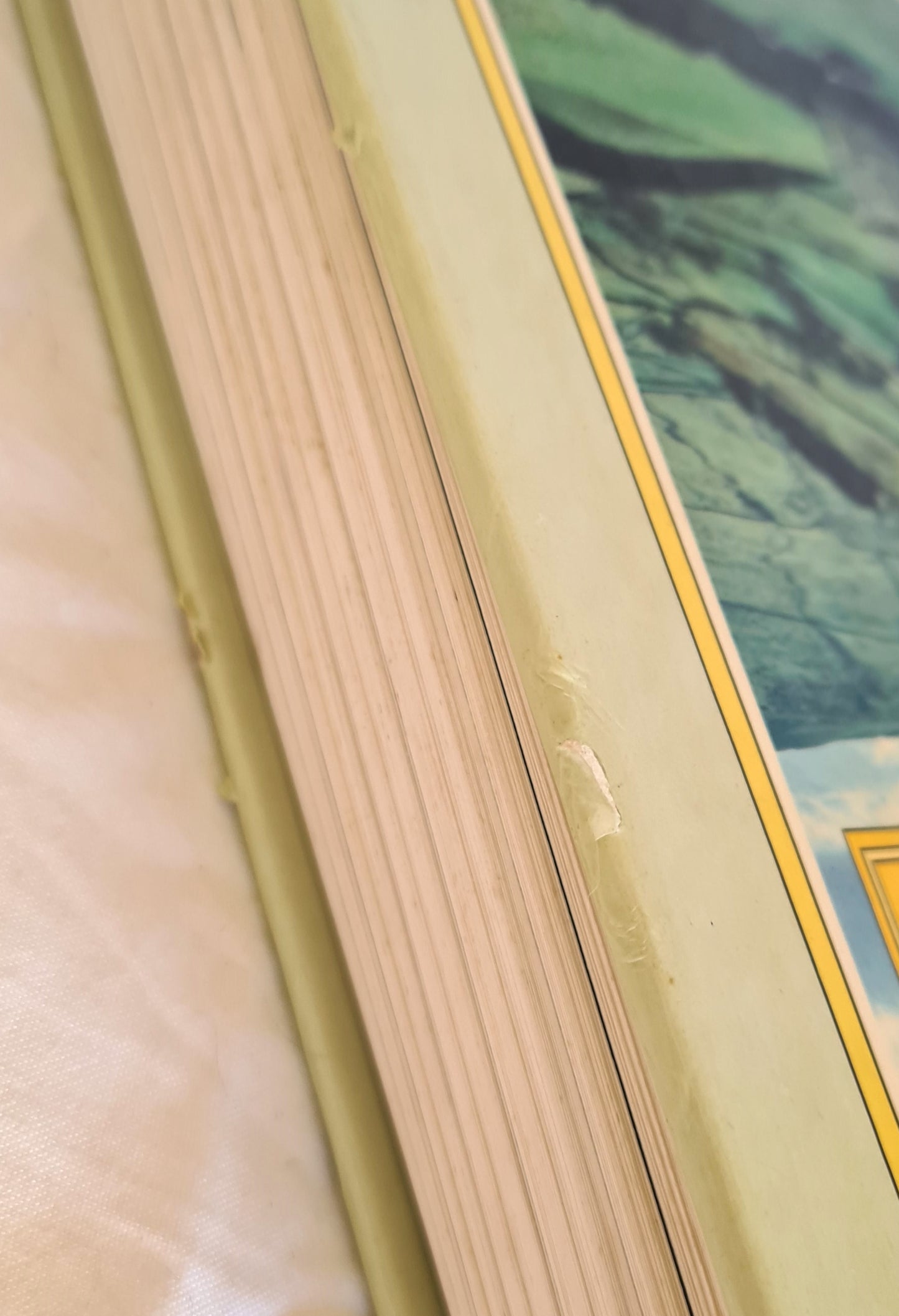 The Best of James Herriot