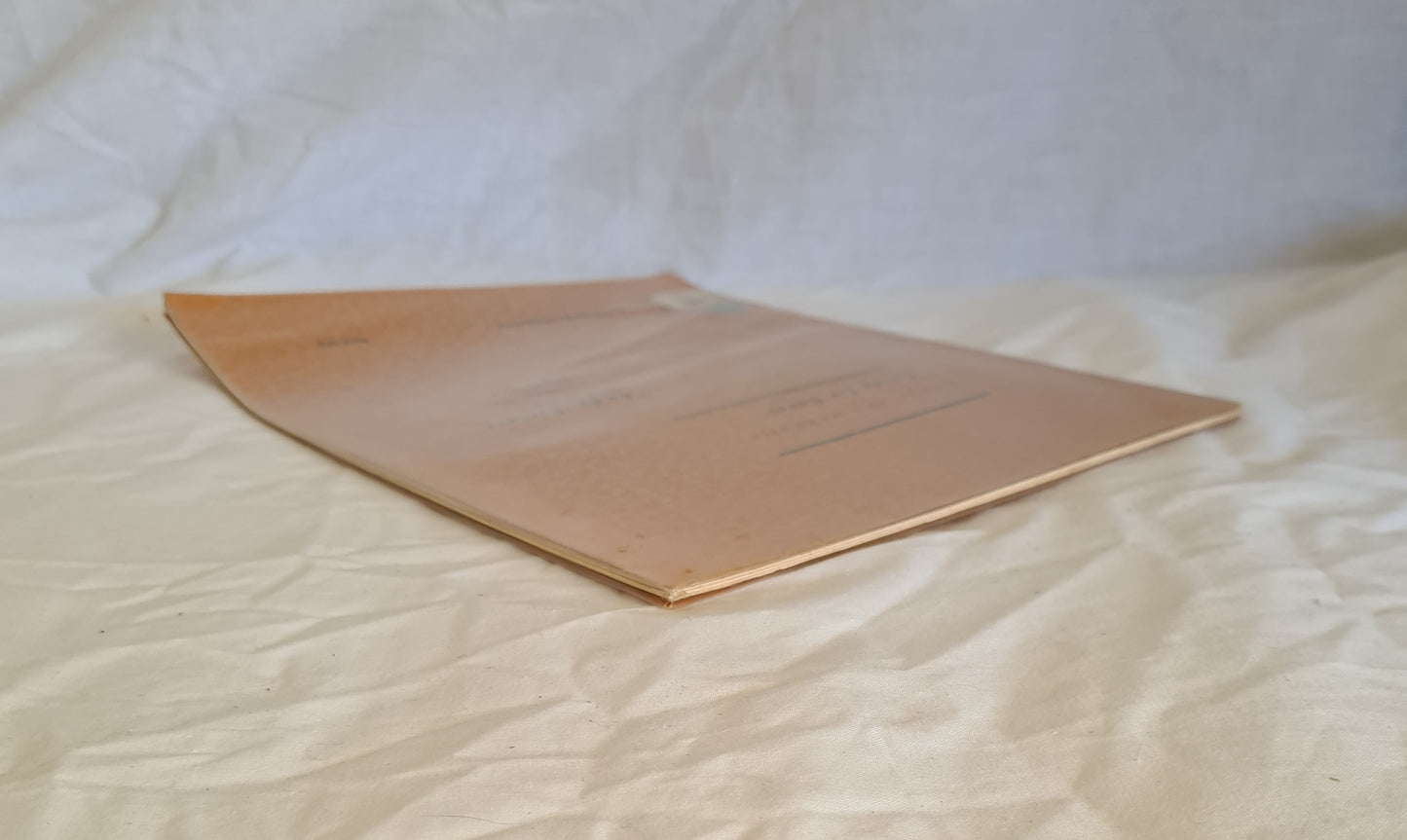 Kanyalaku ankuntja Going for Euros by Andy Tjilari