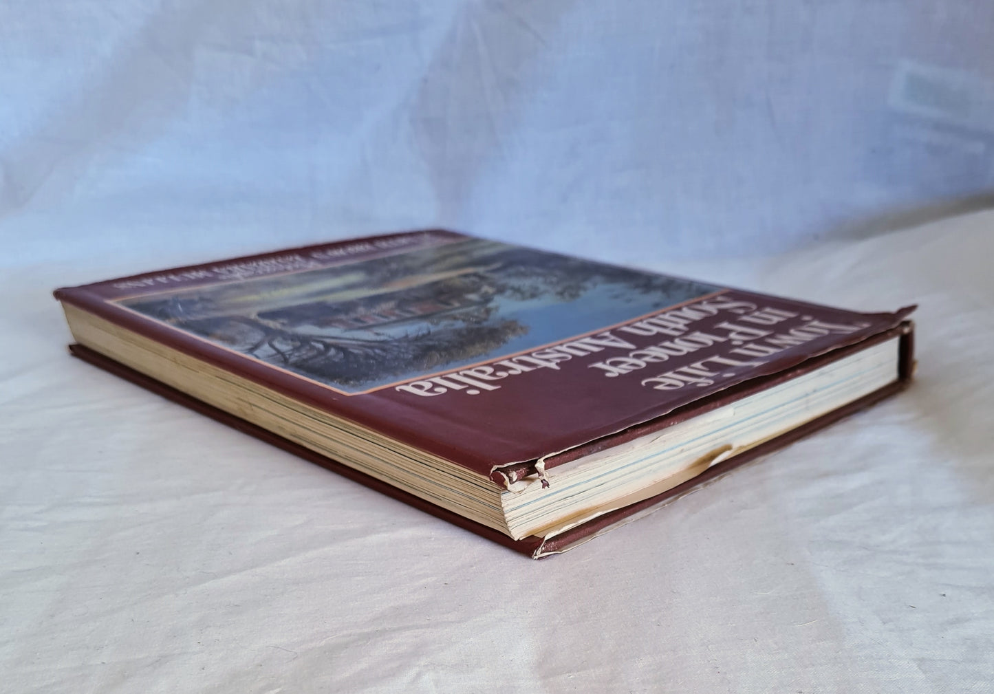 Town Life in Pioneer South Australia by Judith Brown