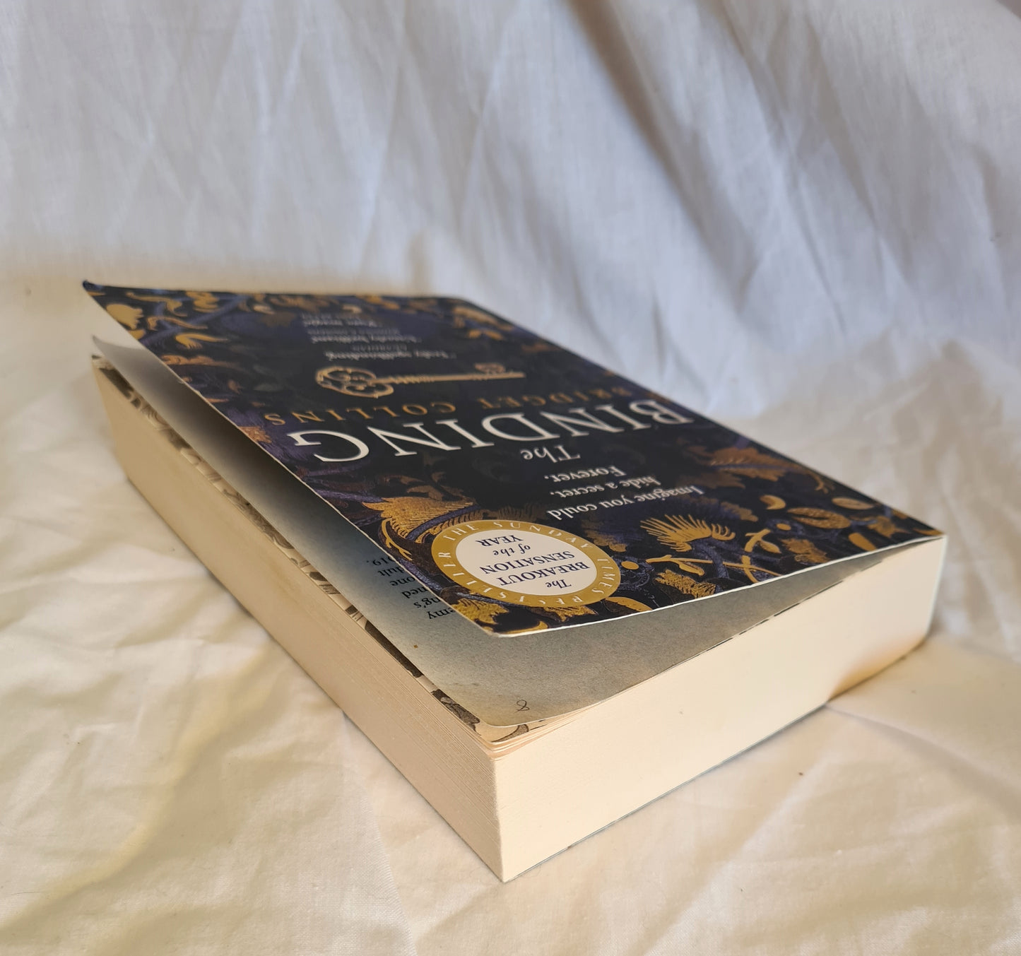 The Binding by Bridget Collins