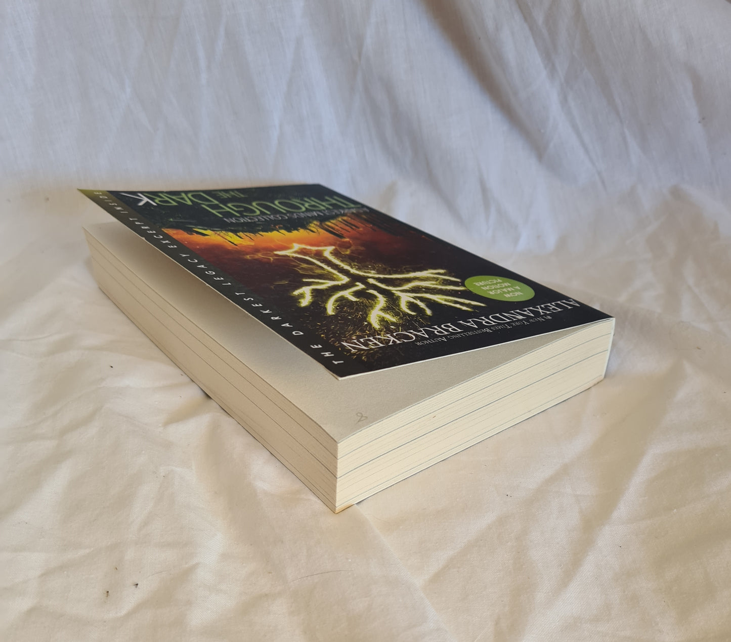 Through the Dark by Alexandra Bracken