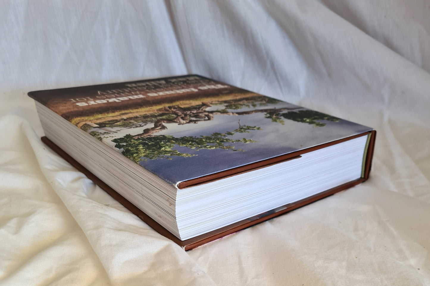 The Future Makers by Max Allen