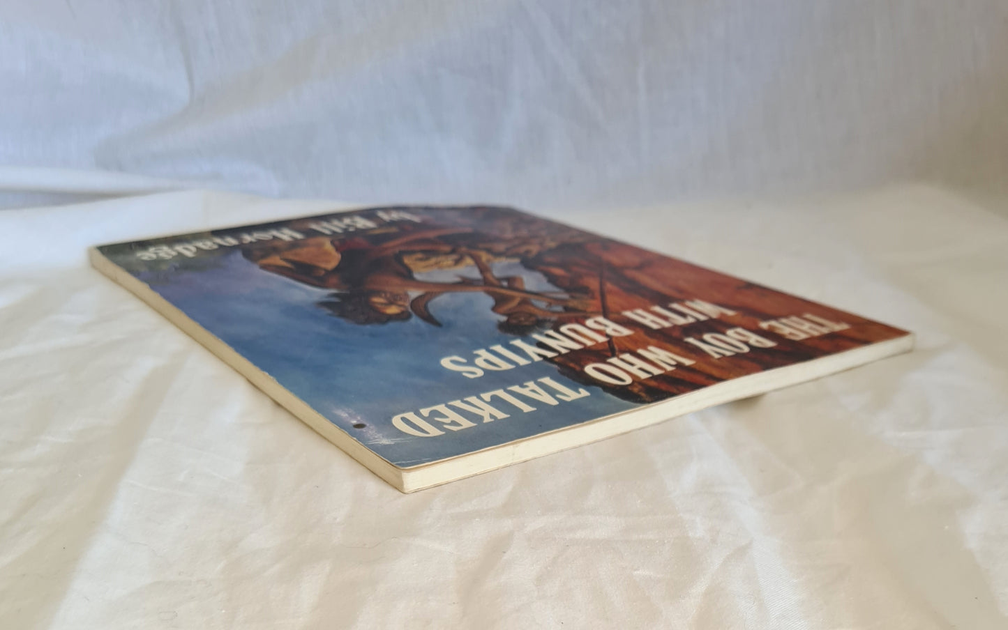 The Boy Who Talked With Bunuips by Bill Hornadge