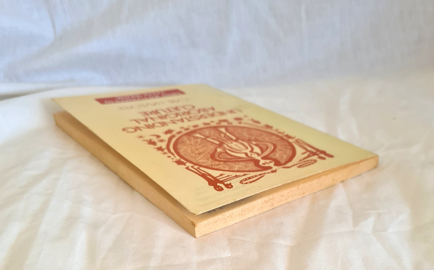 Understanding Aboriginal Culture by Cyril Havecker