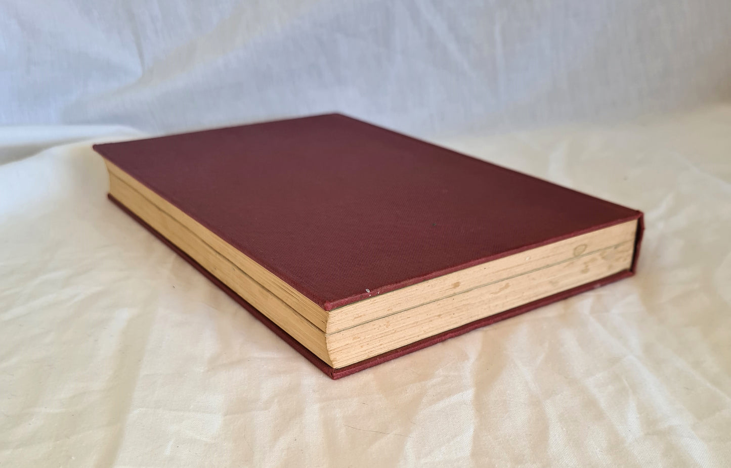 The People In Between by Winifred Hilliard