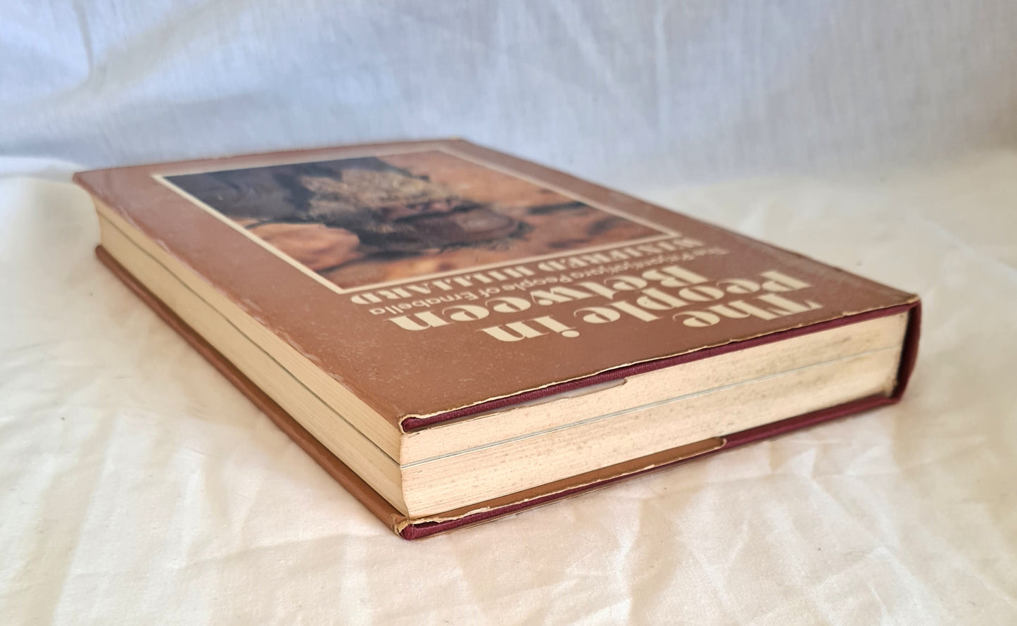 The People In Between by Winifred Hilliard