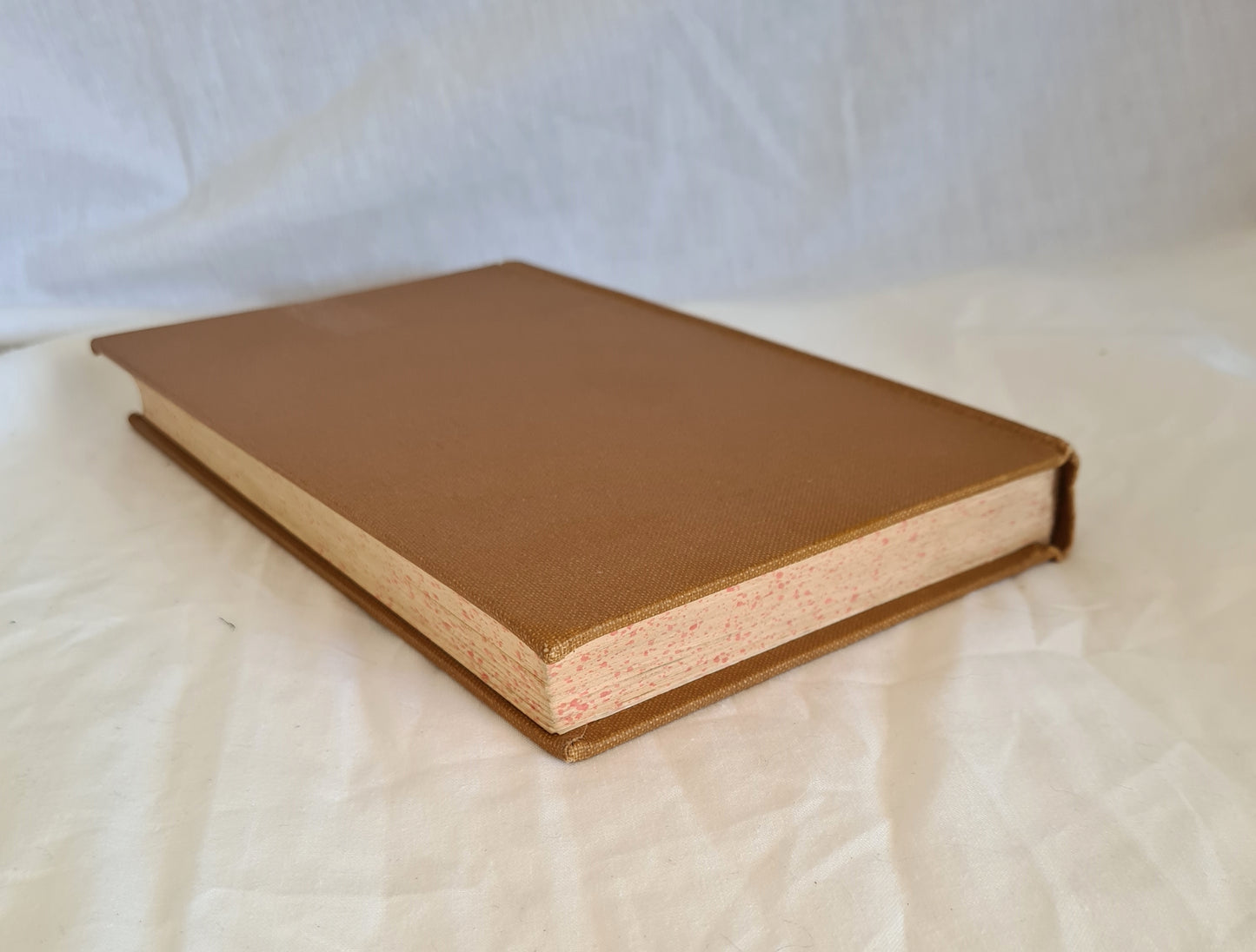 Aliens in Their Land by Louise E. Rorabacher