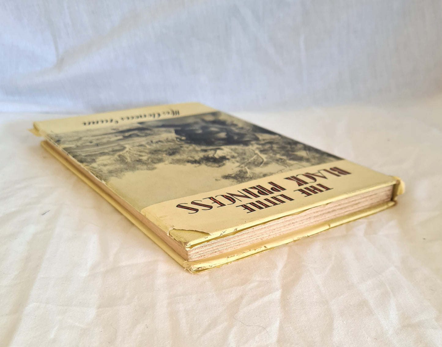 The Little Black Princess Of The Never-Never by Mrs Aeneas Gunn