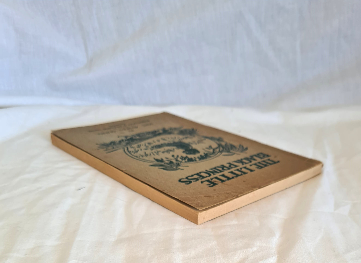 The Little Black Princess Of The Never-Never by Mrs Aeneas Gunn