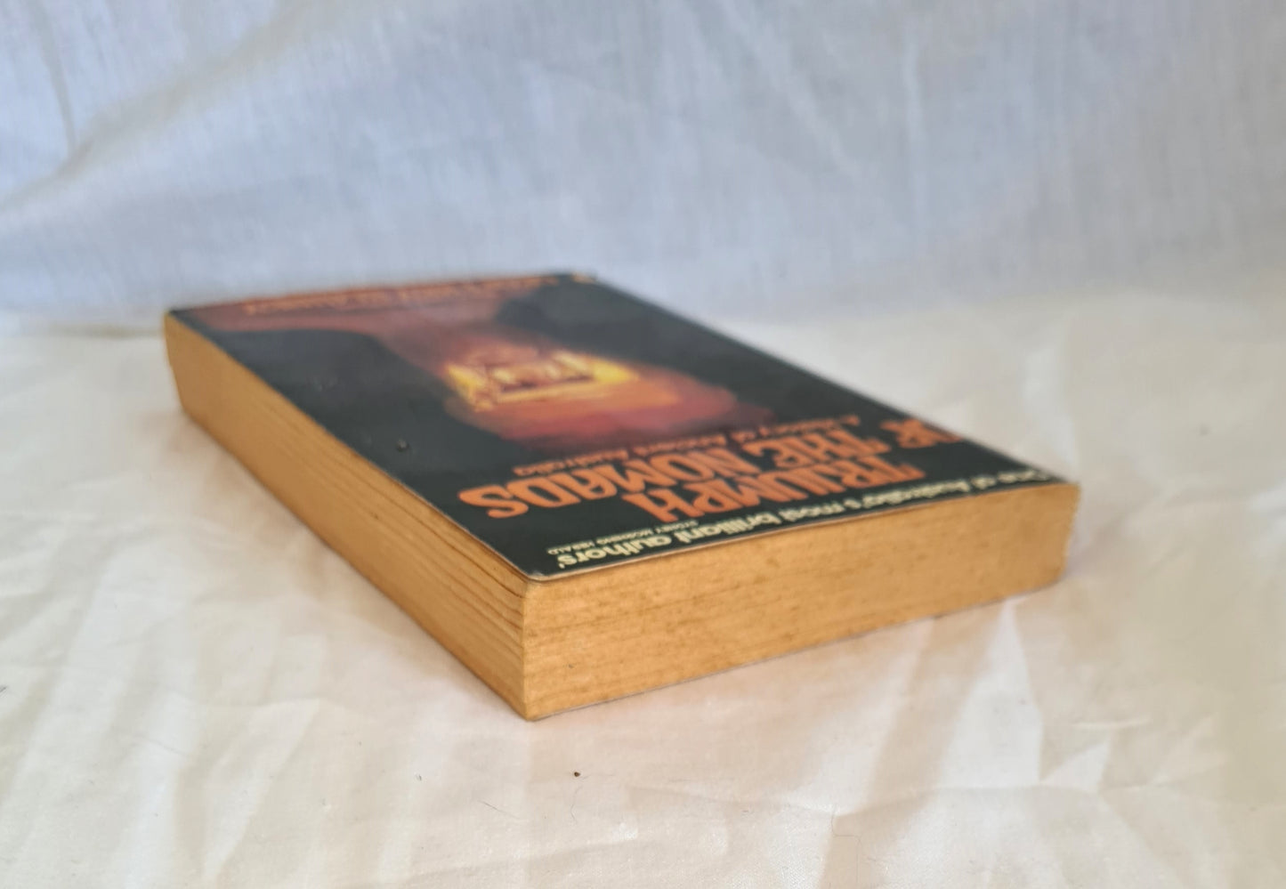 Triumph of the Nomads by Geoffrey Blainey