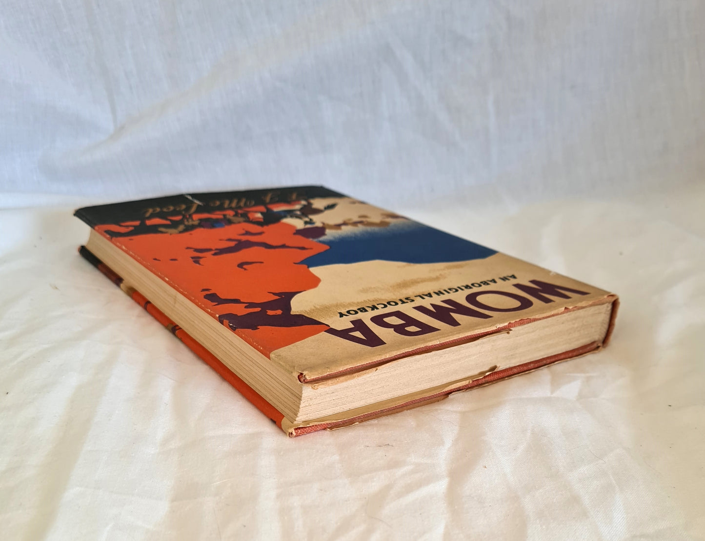 Womba by F. J. McLeod