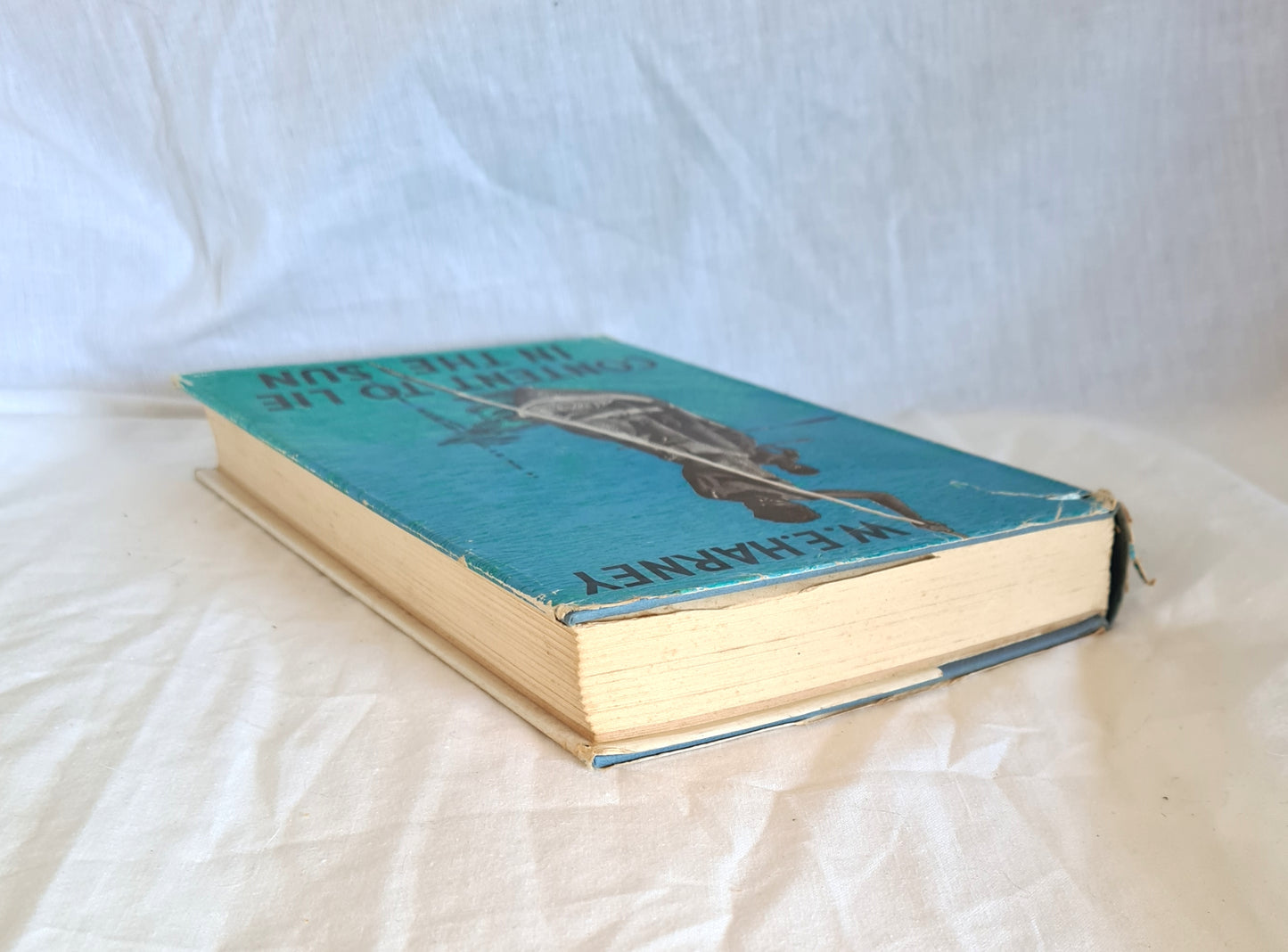 Content to Lie in the Sun by W. E. Harney