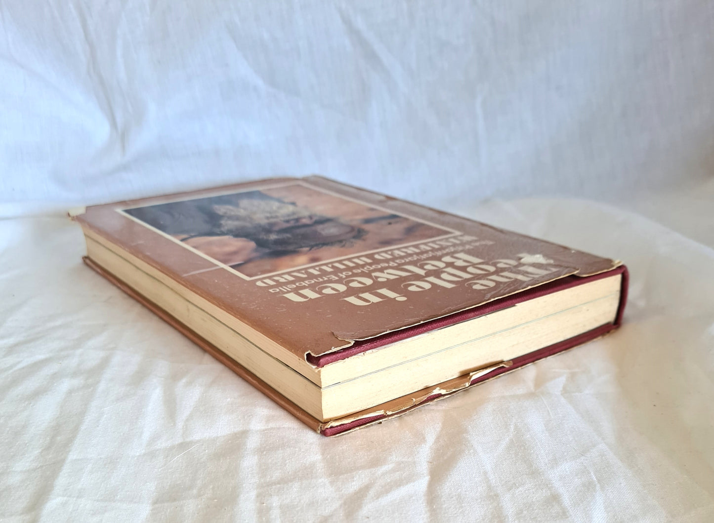 The People In Between by Winifred Hilliard