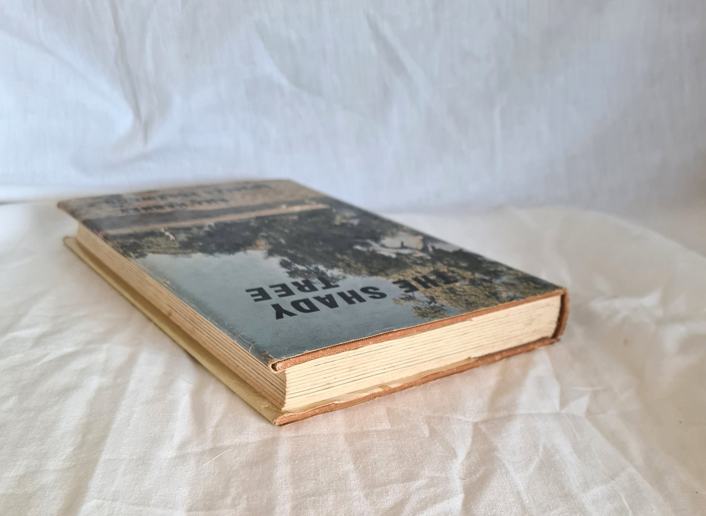 The Shady Tree by W. E. (Bill) Harney and Douglas Lockwood