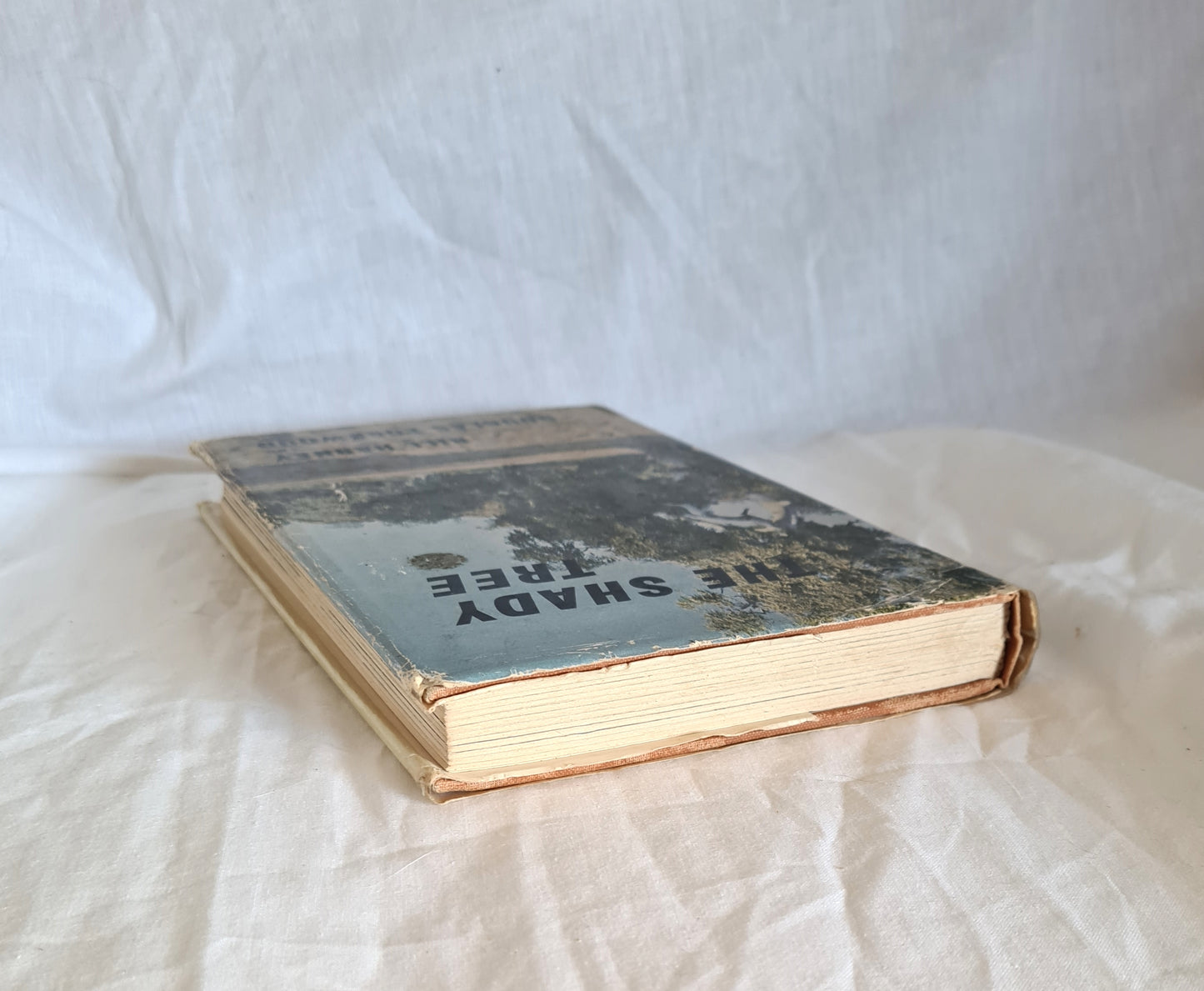 The Shady Tree by W. E. (Bill) Harney and Douglas Lockwood