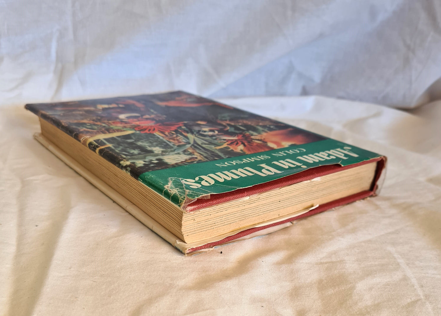 Adam in Plumes by Colin Simpson