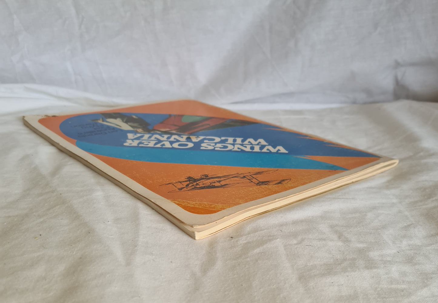 Wings over Wilcannia by Kerry E. Medway