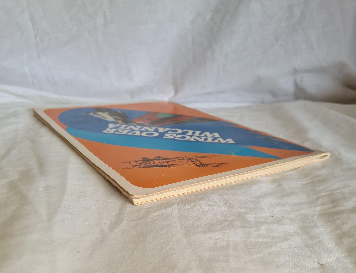 Wings over Wilcannia by Kerry E. Medway