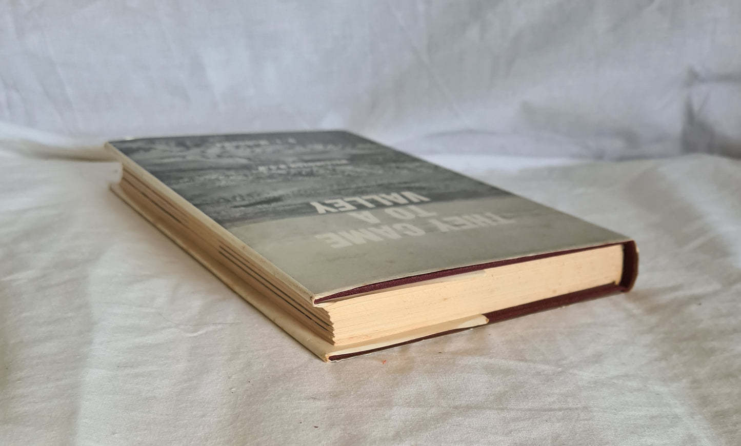 They Came to A Valley by D. I. McDonald