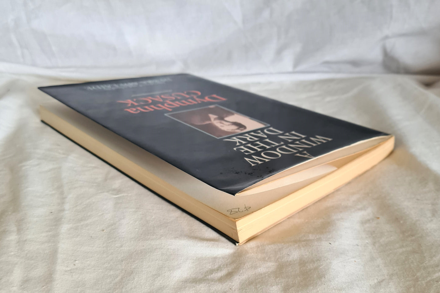 A Window in the Dark by Dymphna Cusack