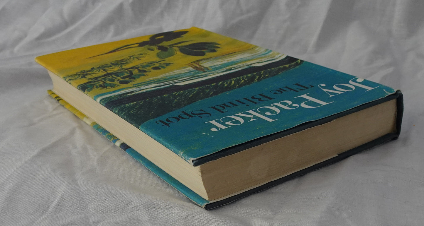 The Blind Spot by Joy Packer