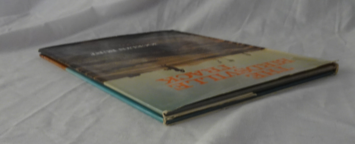 The Birdsville Track by Jocelyn Burt