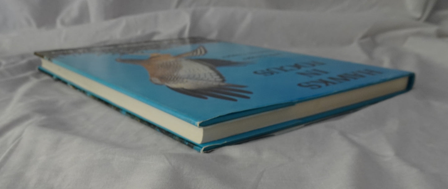 Hawks in Focus by Jack Cupper and Lindsay Cupper