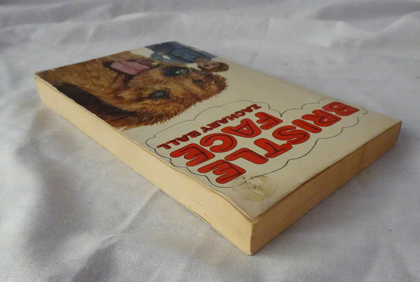 Bristle Face by Zachary Ball