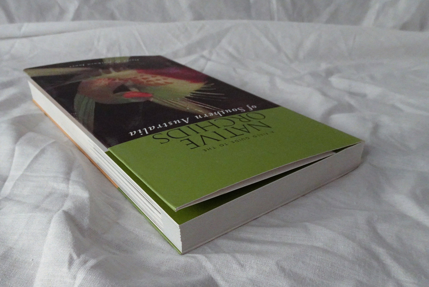 A Field Guide to the Native Orchids of Southern Australia by David and Barbara Jones