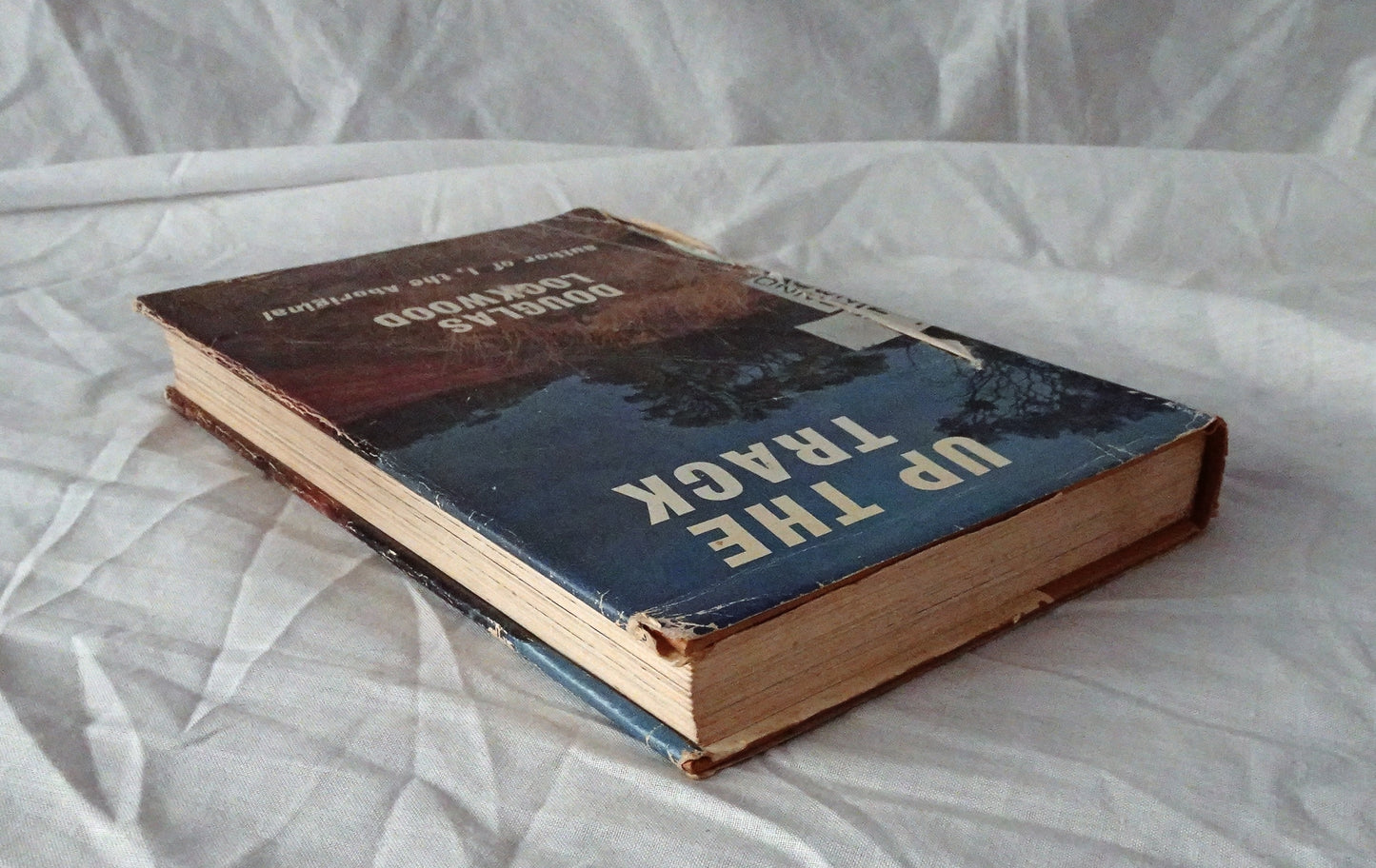 Up The Track by Douglas Lockwood