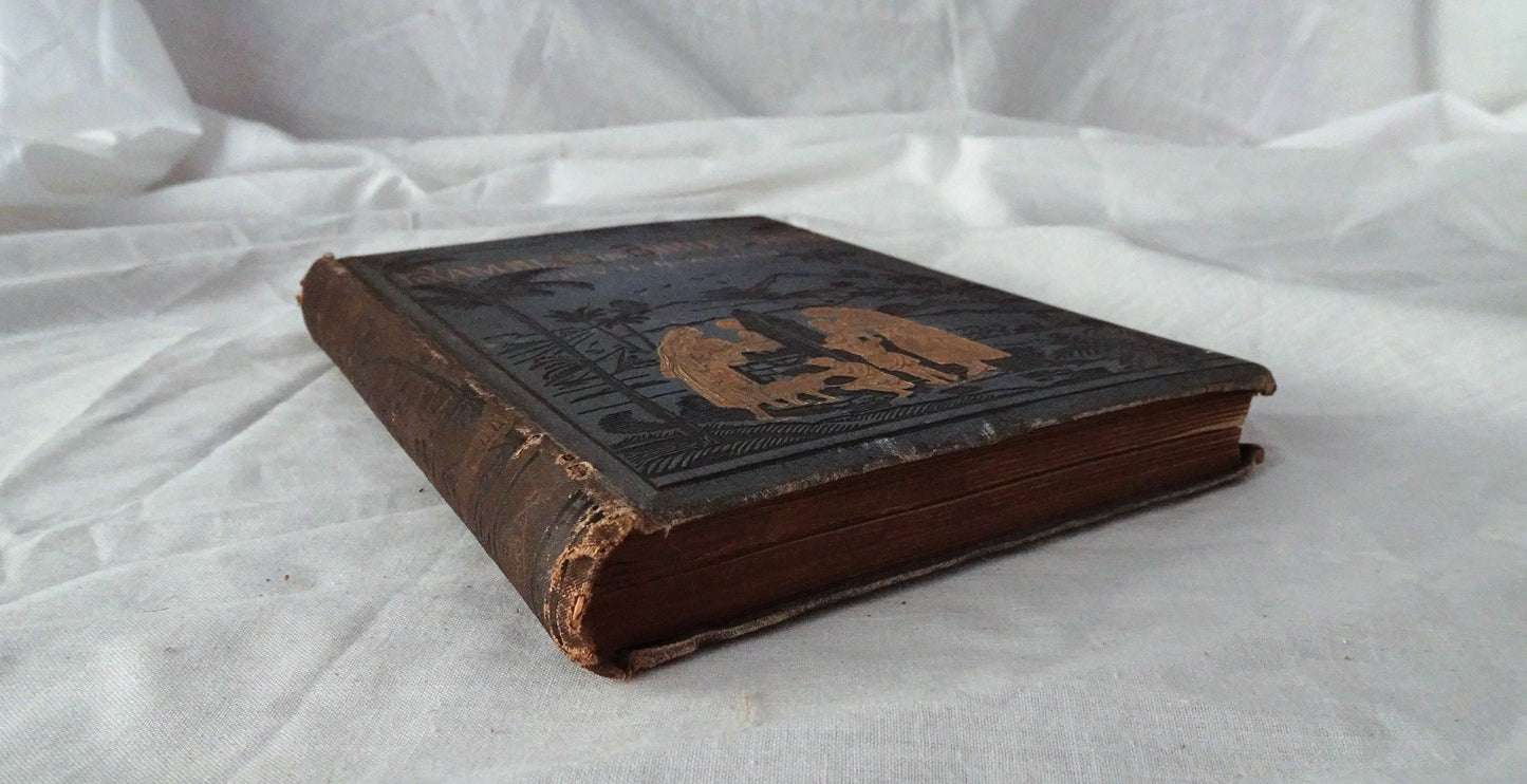 Rambles in Bible Lands by Rev. R. Newton