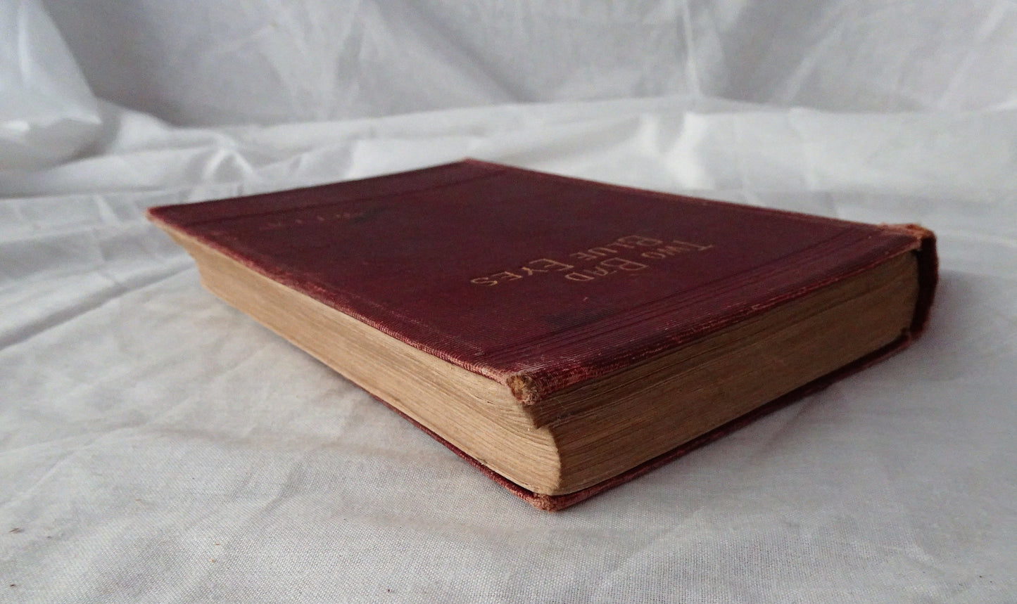 Two Bad Blue Eyes by “Rita”