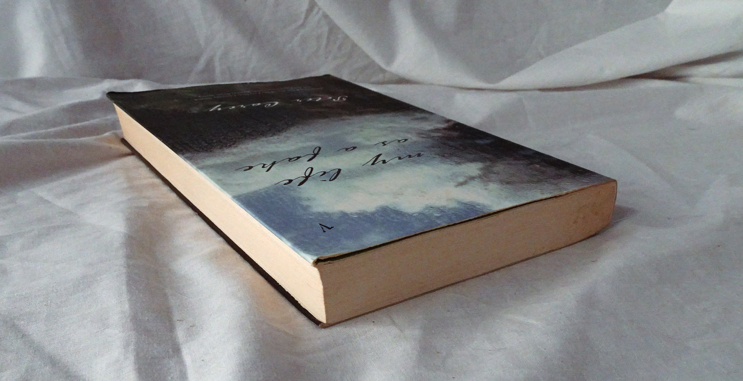 My Life As A Fake by Peter Carey