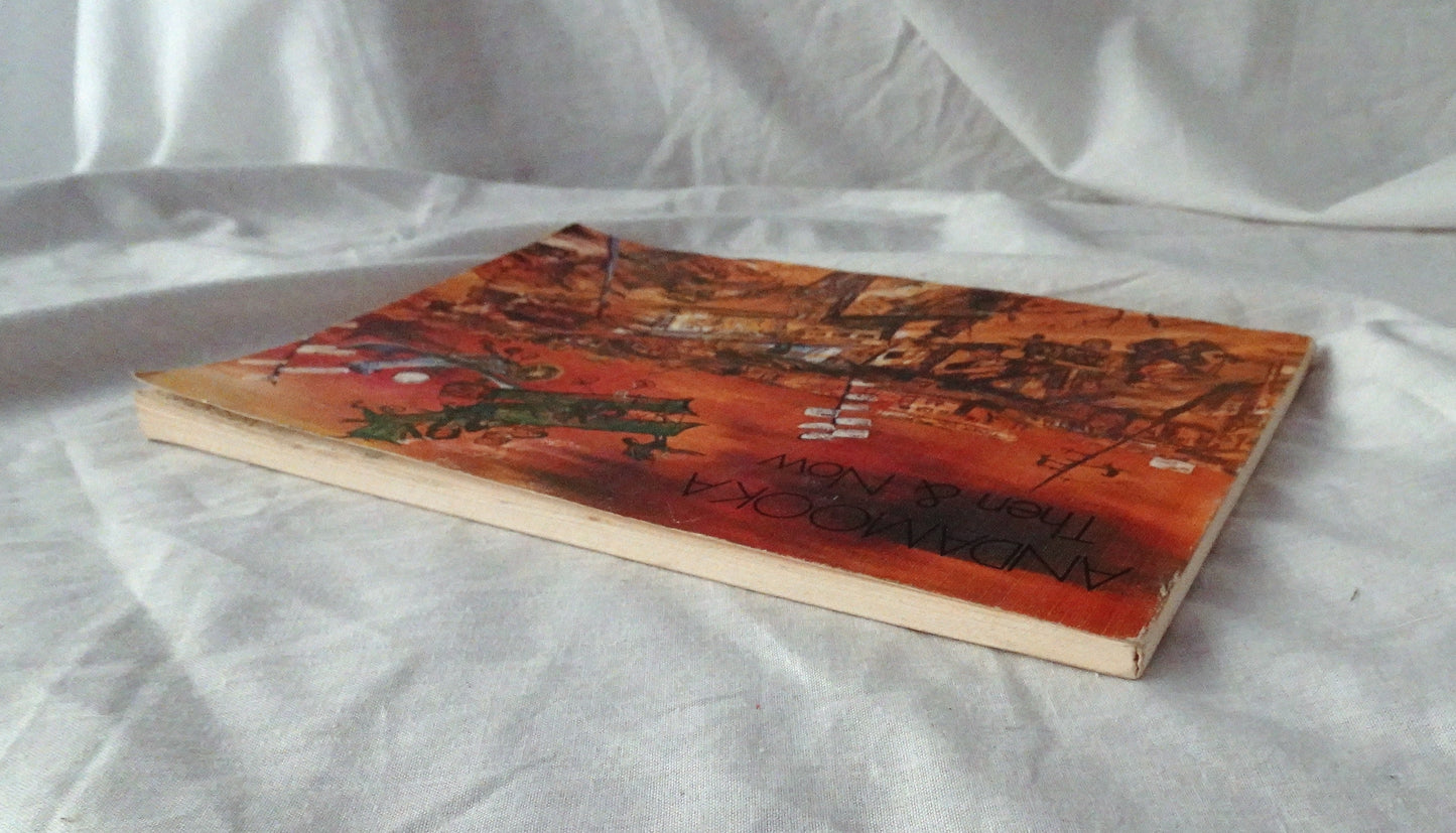 Andamooka Then & Now by The Secondary Students of Andamooka Area School