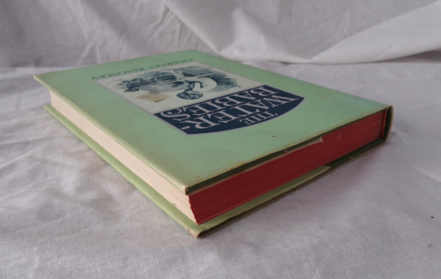 The Water-Babies by Charles Kingsley