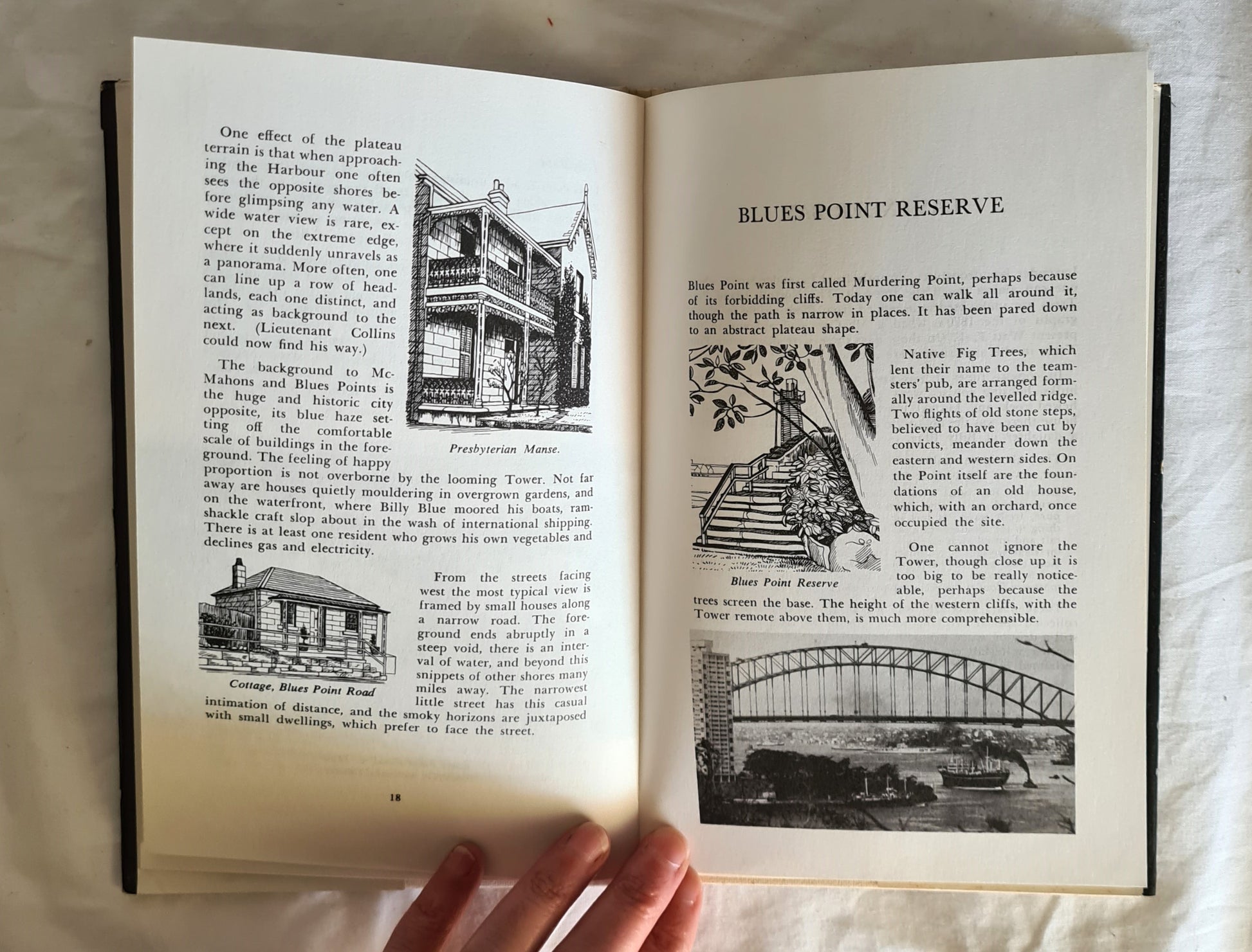 North Sydney  Townscape and Foreshore  by Claire Wagner  Illustrated by Halcyon Evans