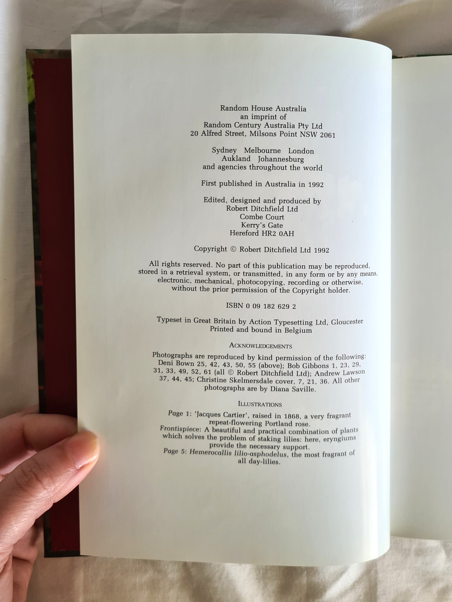 Fragrance by Ann Bonar