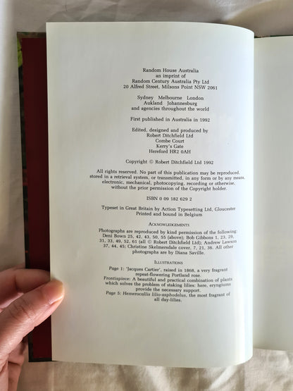 Fragrance by Ann Bonar